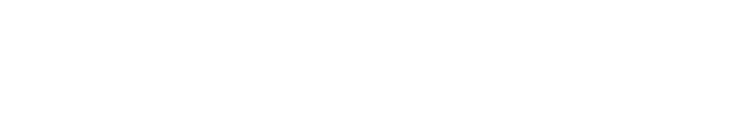Regis Datasec